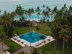 Prospek Saham BUVA dan RATU Milik Happy Hapsoro: Analisis Lengkap & Target Harga