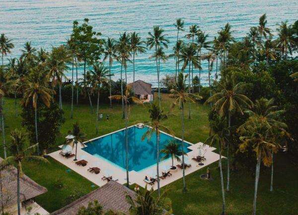 Prospek Saham BUVA dan RATU Milik Happy Hapsoro: Analisis Lengkap & Target Harga