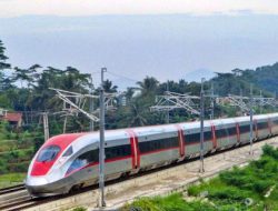 Dugaan Pembengkakan Biaya Proyek Kereta Cepat Whoosh: Fakta & Analisis Pakar Ekonomi