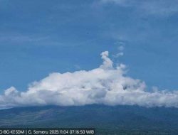 Gunung Semeru Erupsi 2025: Kolom Abu 800 Meter, Ini Zona Bahaya dan Imbauan PVMBG