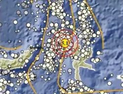 Gempa M 5.1 Guncang Halmahera Barat, BMKG: Tidak Berpotensi Tsunami