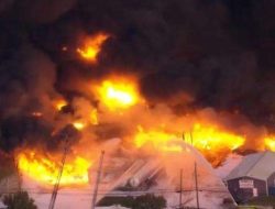 Kecelakaan Pesawat UPS MD-11: 3 Kru Tewas dan 11 Luka-luka di Kentucky