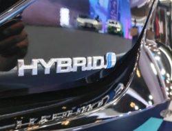 Insentif PPnBM DTP 3% Dongkrak Penjualan Mobil Hybrid, Tembus 2.000 Unit/Bulan