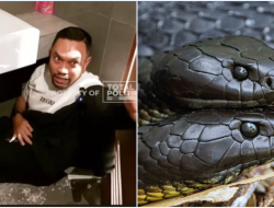 Isu Black Mamba Hoax, Sahroni Ungkap Anaknya Jadi Korban Bully