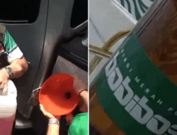 Bobibos: Biofuel RON 98 Setara Pertamax Turbo Hanya Rp 4 Ribuan?