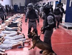 Kekejaman Israel: Tahanan Palestina Diperkosa dengan Anjing dan Benda, PCHR Ungkap Fakta Mengerikan