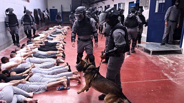 Kekejaman Israel: Tahanan Palestina Diperkosa dengan Anjing dan Benda, PCHR Ungkap Fakta Mengerikan