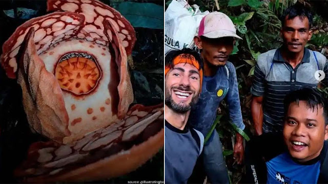 Anies Baswedan Kritik Oxford: Klaim Penemuan Rafflesia Hasseltii Abaikan Peran Peneliti Indonesia