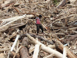 Tanggung Jawab Lingkungan di Era Prabowo: Peran Swasta, Masyarakat, dan Audit Perusahaan