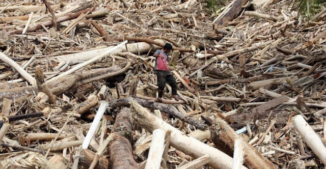 Tanggung Jawab Lingkungan di Era Prabowo: Peran Swasta, Masyarakat, dan Audit Perusahaan