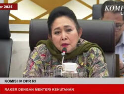 Titiek Soeharto Sebut Jenderal Bintang 2-3 Diduga Bekeking Illegal Logging Pemicu Banjir Sumatera