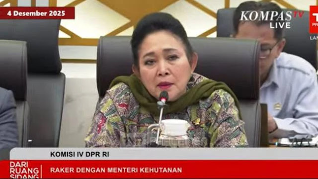 Titiek Soeharto Sebut Jenderal Bintang 2-3 Diduga Bekeking Illegal Logging Pemicu Banjir Sumatera
