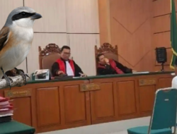 Negara Tega! Lansia 71 Tahun Dituntut 2 Tahun Bui Gegara Memikat Burung Cendet