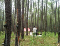 Banjir Bandang Aceh: Analisis Jatam Tautkan Konsesi HTI Prabowo dengan Kerusakan DAS