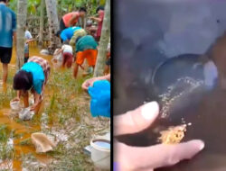 Warga Aceh Temukan Emas dan Solar Pascabanjir: Fakta & Lokasi Demam Emas