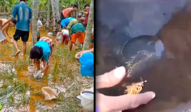 Warga Aceh Temukan Emas dan Solar Pascabanjir: Fakta & Lokasi Demam Emas