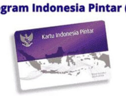 PIP Aspirasi Dikritik: Benarkah Program Indonesia Pintar Jadi Alat Politik?