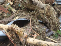 Korporasi Pembalak Liar Pemicu Banjir Bandang Sumatera: Pemerintah Didorong Bertindak Tegas