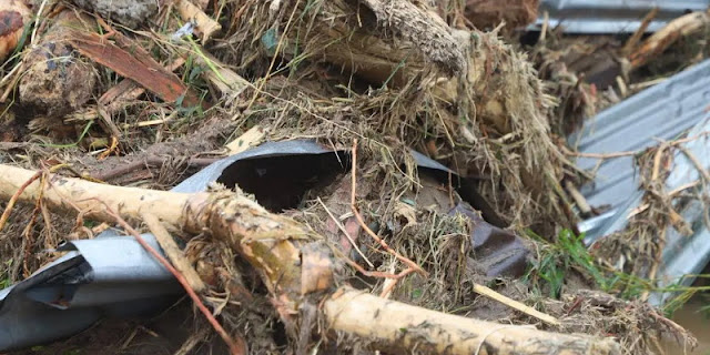 Korporasi Pembalak Liar Pemicu Banjir Bandang Sumatera: Pemerintah Didorong Bertindak Tegas