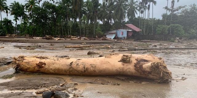 Banjir Sumatera 2025: Penyebab, Dampak Deforestasi, dan Solusi