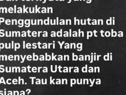 Unggahan Viral Anak Purbaya Tuding PT Toba Pulp Lestari Penyebab Banjir Sumut