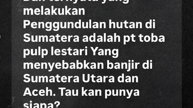 Unggahan Viral Anak Purbaya Tuding PT Toba Pulp Lestari Penyebab Banjir Sumut