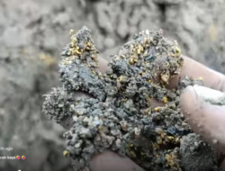 Viral! Warga Aceh Temukan Butiran Emas di Lumpur Banjir Bandang, Benarkah?