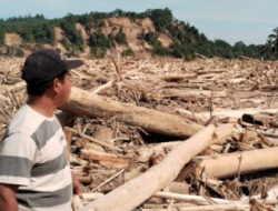 Banjir Bandang Aceh Tamiang 2025: Permukiman Hilang Tertimbun Kayu Gelondongan