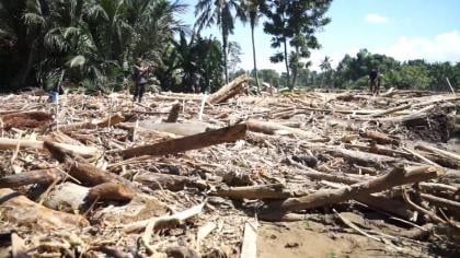Banjir Bandang Pidie Jaya: Kayu Gelondongan Diduga Hasil Perambahan Hutan Serang Permukiman Warga
