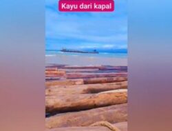 Ribuan Gelondongan Kayu Terdampar di Pantai Lampung: Fakta, Penyebab, dan Penanganan