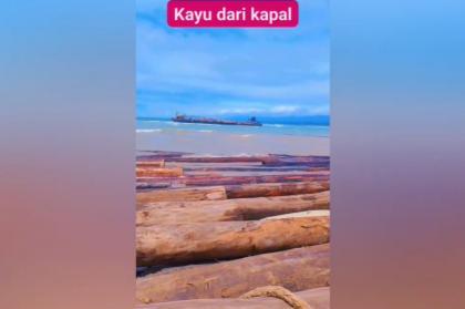 Ribuan Gelondongan Kayu Terdampar di Pantai Lampung: Fakta, Penyebab, dan Penanganan