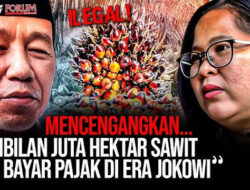 9 Juta Hektare Sawit Ilegal Tak Bayar Pajak: Fakta & Dampaknya