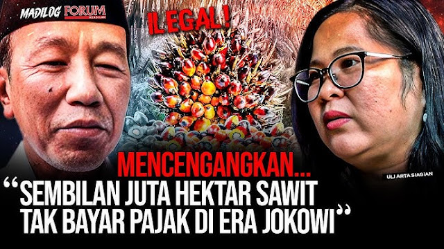 9 Juta Hektare Sawit Ilegal Tak Bayar Pajak: Fakta & Dampaknya