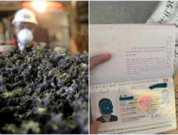 Satgas Gagalkan Penyelundupan Nikel oleh Pekerja China di Bandara IWIP