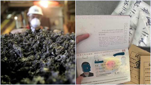 Satgas Gagalkan Penyelundupan Nikel oleh Pekerja China di Bandara IWIP