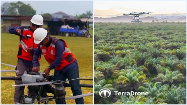 Kebakaran Terra Drone Indonesia: 22 Tewas, Proyek Sawit hingga Tol Cisumdawu Terungkap