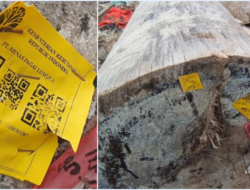 Misteri Kayu Gelondongan di Pantai Tanjung Setia Terungkap: Barcode SVLK Kementerian Kehutanan Jadi Kunci