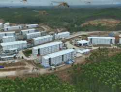 Strategi IKN Bebas Malaria: Sistem Kesehatan Lingkungan Berkelanjutan Dibangun