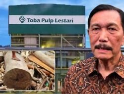 Luhut Binsar Pandjaitan Didesak Diperiksa Soal PT Toba Pulp Lestari, Dituding Picu Banjir Sumut