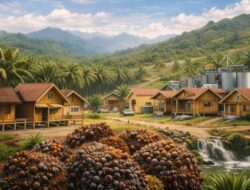 5 Manfaat Perluasan Sawit di Papua: Solusi Kesejahteraan & Energi Nasional