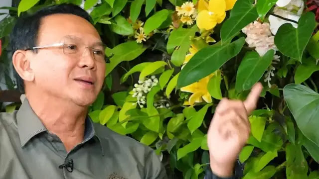 Ahok Kritik Pilkada oleh DPRD: Sistem untuk Curang dan Rampas Hak Rakyat