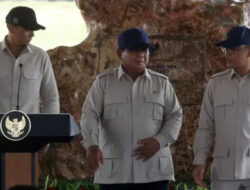 Prabowo Cabut Izin PT Toba Pulp Lestari: Daftar 28 Perusahaan dan Penyebab Pencabutannya