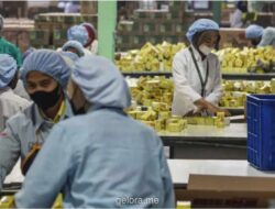 BPS: Pengangguran Turun Jadi 7,35 Juta, Namun Kualitas Pekerjaan Masih Jadi Tantangan