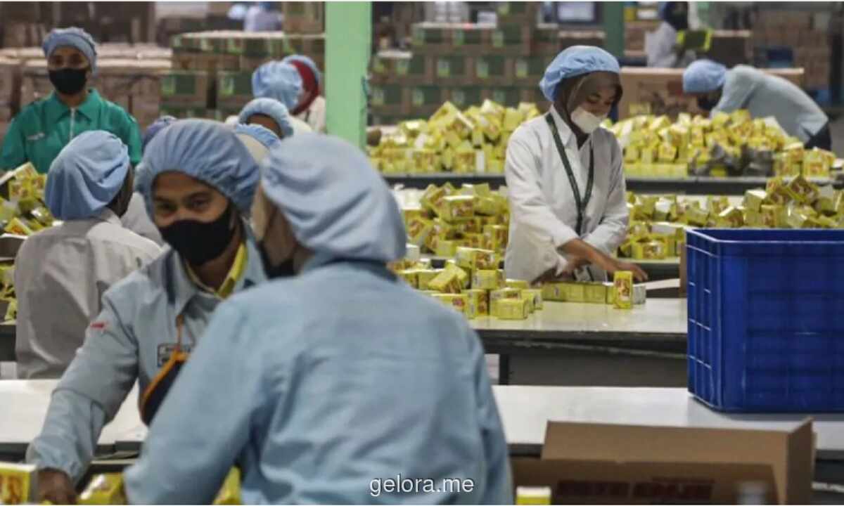 BPS: Pengangguran Turun Jadi 7,35 Juta, Namun Kualitas Pekerjaan Masih Jadi Tantangan