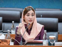 Anggota DPR: Industri Film Indonesia di Persimpangan Jalan, Butuh Keberpihakan Negara