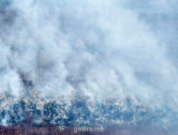 Karhutla Masih Melanda Lima Wilayah di Riau, Status Darurat Belum Ditetapkan