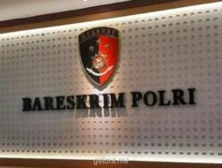 Bareskrim Ungkap Modus TPPO: 249 WNI Dijanjikan Kerja Legal, Dijebak Eksploitasi di Kamboja