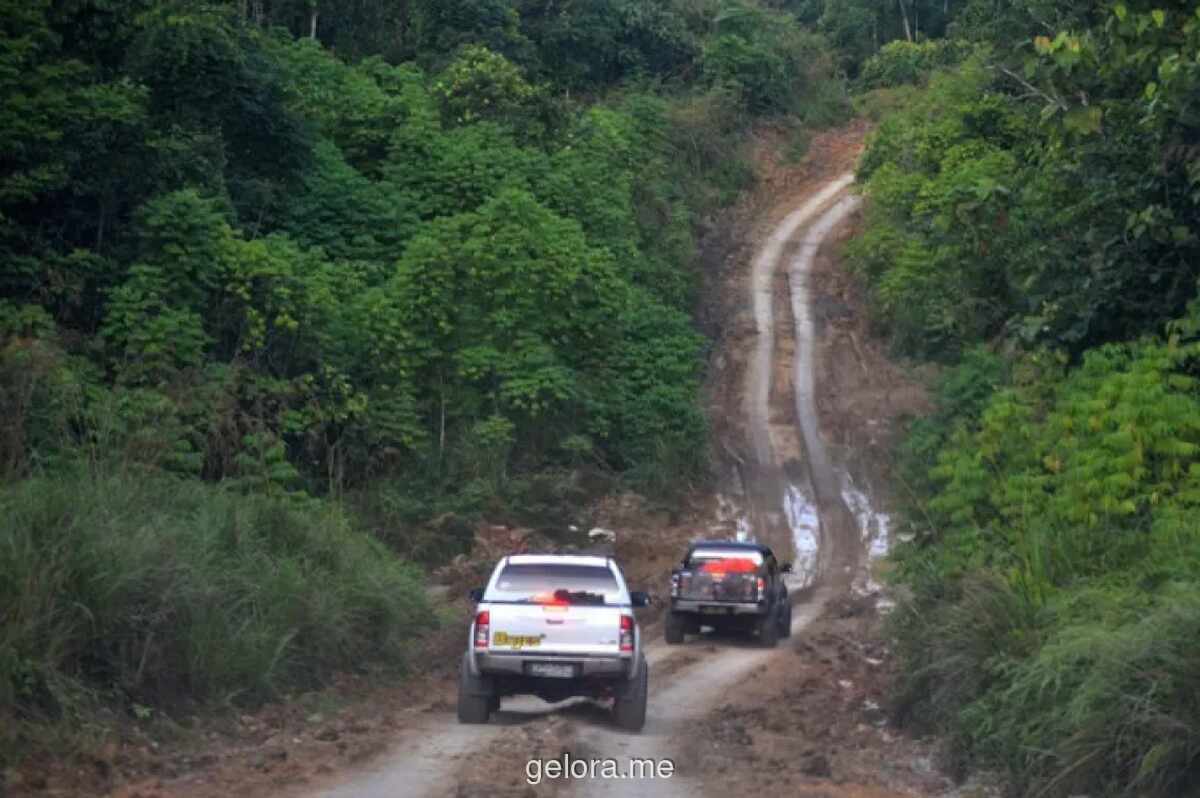 Ahli IPB Peringatkan Deforestasi Picu Ledakan Nyamuk dan Ancaman Penyakit